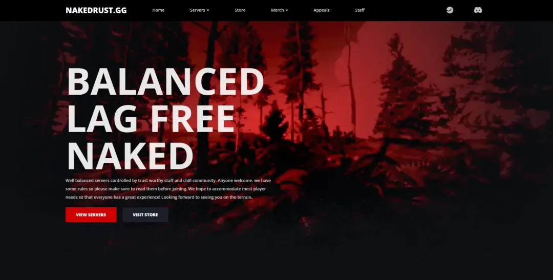 NakedRust website preview